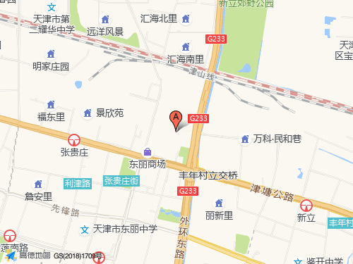 東麗區(qū)地圖